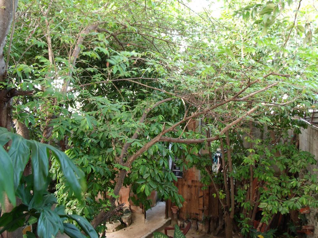 Casitas Kinsol 호텔 푸에르토 모렐로스 외부 사진