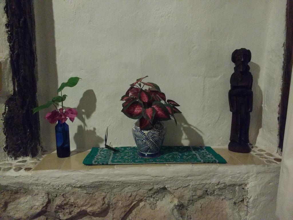 Casitas Kinsol 호텔 푸에르토 모렐로스 외부 사진