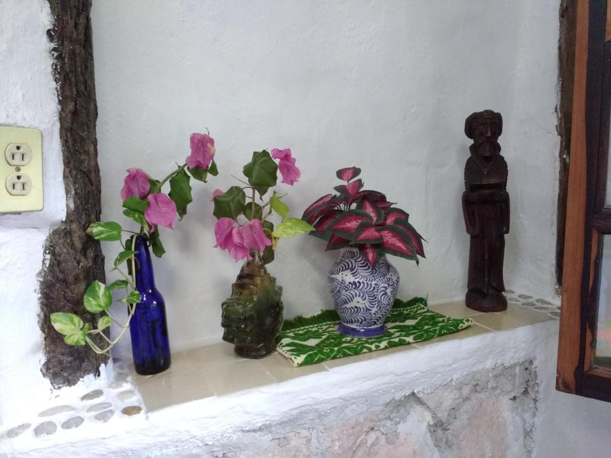 Casitas Kinsol 호텔 푸에르토 모렐로스 외부 사진