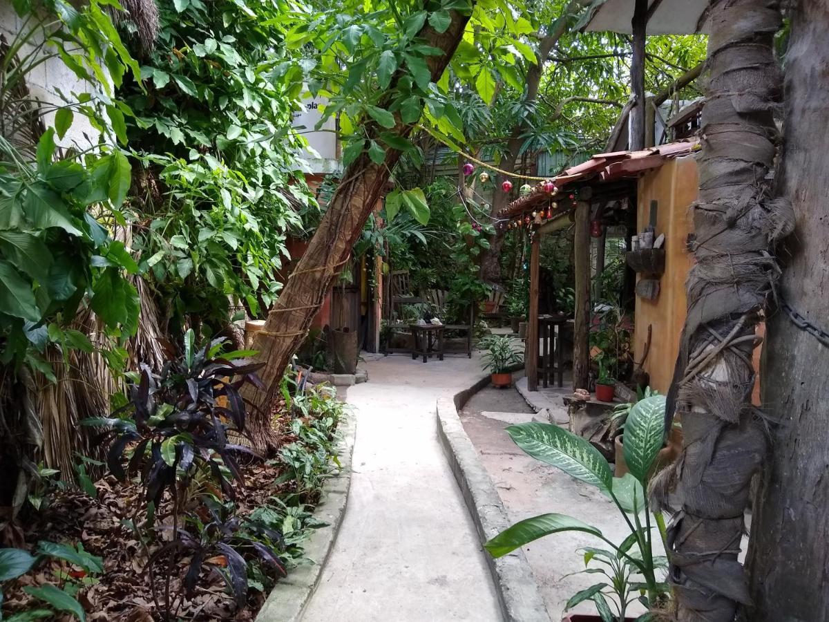 Casitas Kinsol 호텔 푸에르토 모렐로스 외부 사진