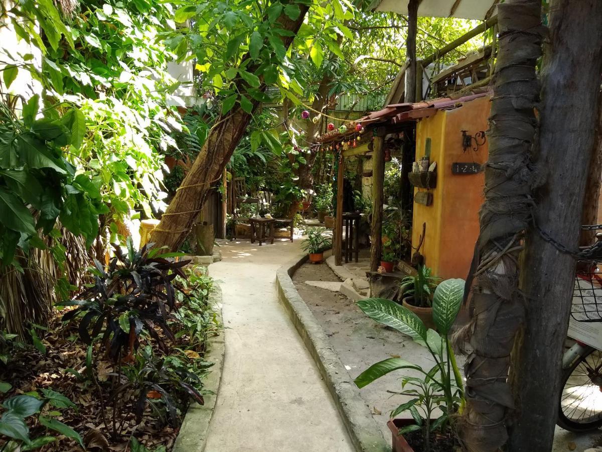 Casitas Kinsol 호텔 푸에르토 모렐로스 외부 사진