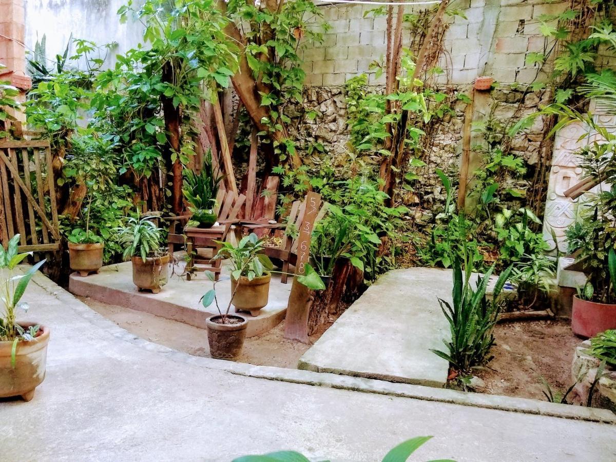 Casitas Kinsol 호텔 푸에르토 모렐로스 외부 사진